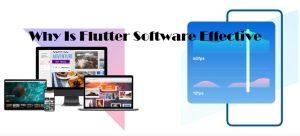 Flutter Software