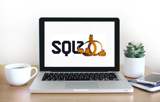 the SQLZoo